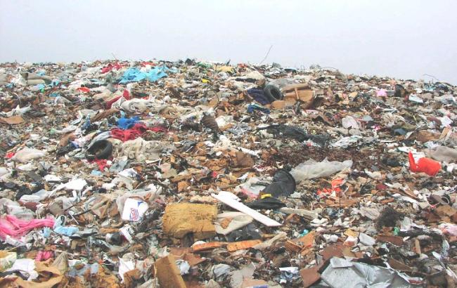 Количество погибших от оползня на свалке на Шри-Ланке возросло до 16 человек