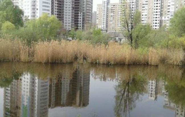 В Киеве засыпают Утиное озеро - СМИ