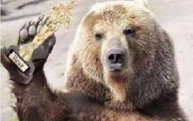 Каскадер, сыгравший медведицу в "Выжившем", рассказал о съемках скандальной сцены