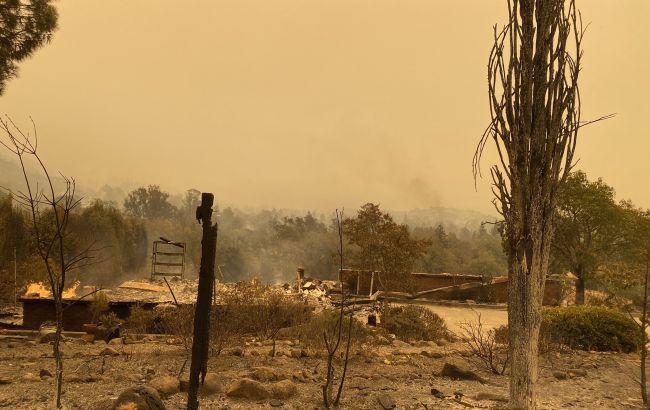 В Каліфорнії лісові пожежі підібралися будинків. Евакуйовано тисячі людей