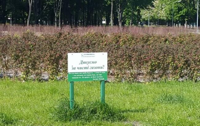 У київському парку "Юність" відкрили зелені лабіринти