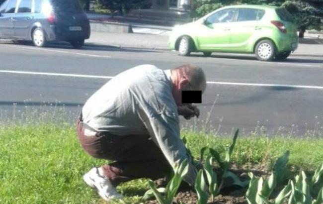 Заснув на місці злочину: у Рівному "копи" змусили п'яного садити тюльпани
