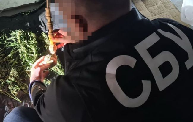 В Украине ликвидировали оптовый канал сбыта наркотиков: банда использовала Telegram