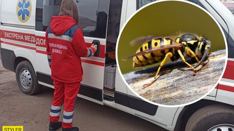 Вкусила оса, бджола або шершень: як швидко надати першу допомогу