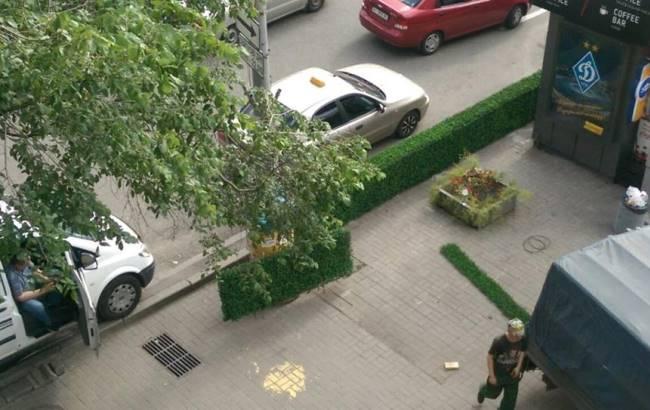 В центре Киева установили зеленую изгородь для безопасности пешеходов