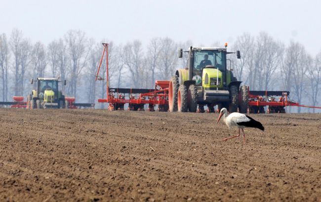 Урожай зерновых в Украине из-за вторжения РФ сократится на 20%, - британская разведка