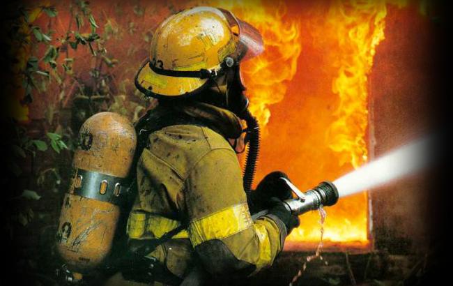 В Киевской обл. за сутки пожарные 10 раз ликвидировали возгорания сухой травы и мусора, - ГСЧС