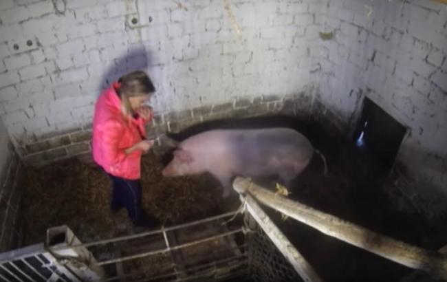 Панянка-селянка: выпуск 133 смотреть онлайн