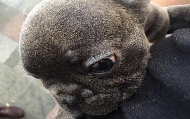 Ляшко передал украинцам, что им пожелали "сладко спать"