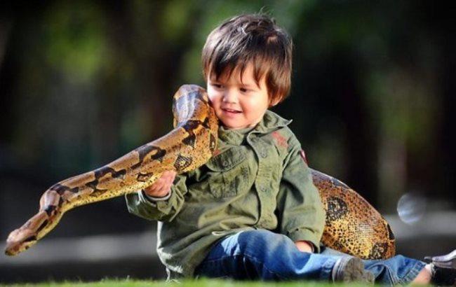 В Бразилии ребенок загрыз ядовитую змею