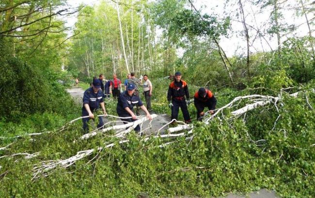 В Украине из-за непогоды остаются обесточенными 80 населенных пунктов
