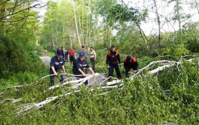 В Україні через негоду знеструмлено 99 населених пунктів