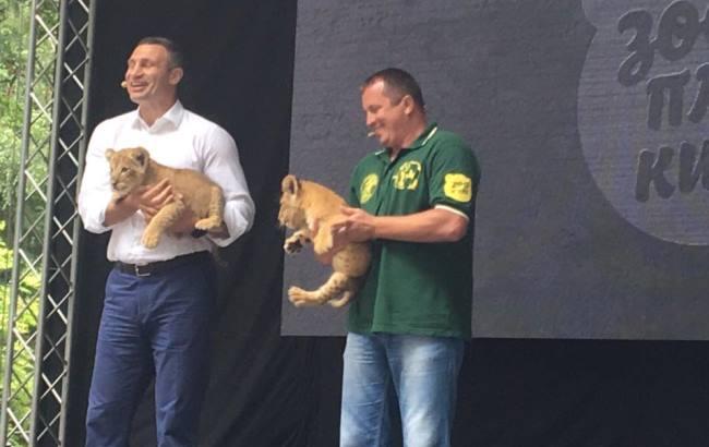 Кличко представил концепцию обновления Киевского зоопарка