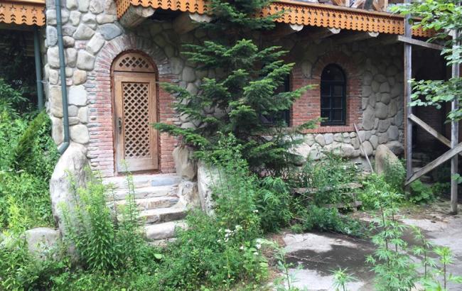 Будинок в заповідних горах: в мережі опублікували фото дачі Ющенка