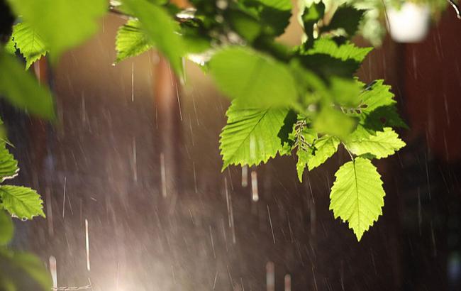 Погода на завтра: на большей части Украины дожди, температура до +34