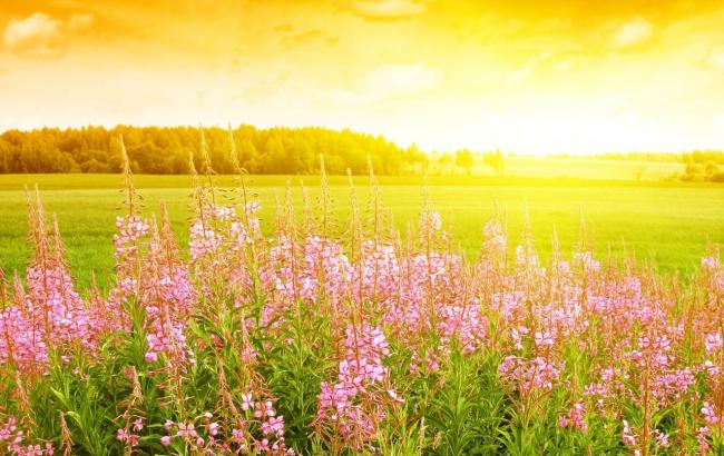 Погода на сегодня: в Украине без осадков, температура до +26