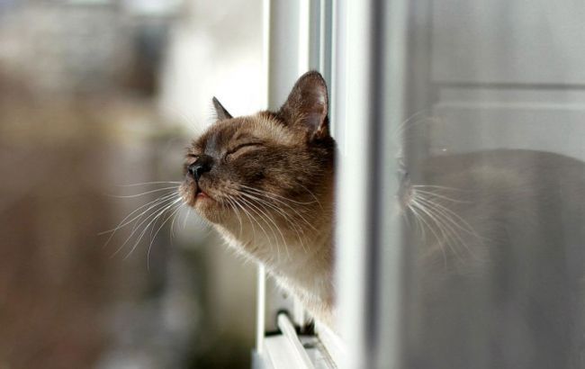 Погода на сьогодні: в Україні без опадів, температура до +19