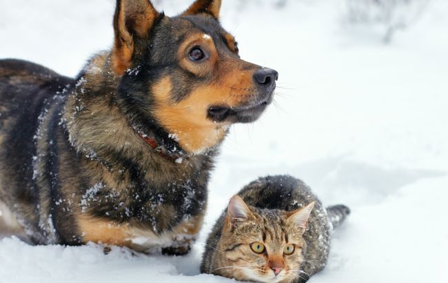 Погода на завтра: в Україні місцями сніг, температура до +8