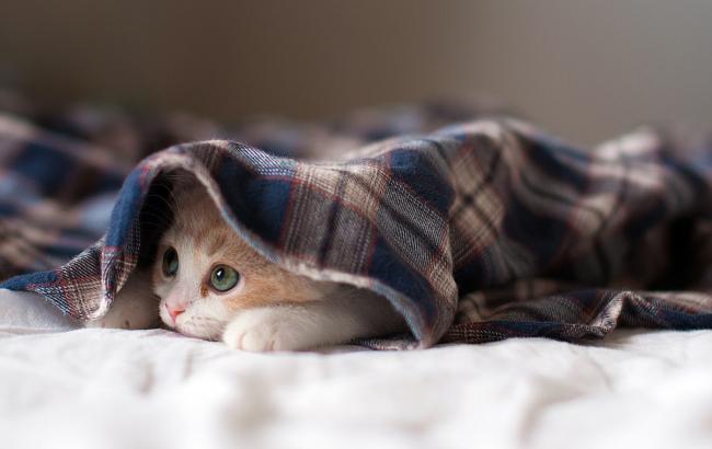 Погода на сегодня: в Украине без осадков, температура до -11