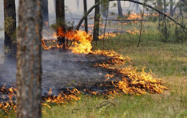 Синоптики попереджають про високий рівень пожежної небезпеки в Україні