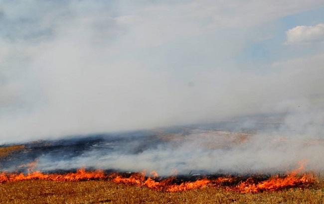 Синоптики попереджають про високий рівень пожежної небезпеки 29 серпня