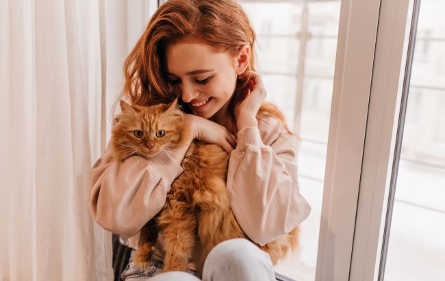 Забезпечать ніжністю та теплом: 8 найбільш ласкавих порід кішок