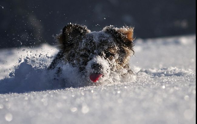 Погода на завтра: в Україні очікується сніг, температура до -6