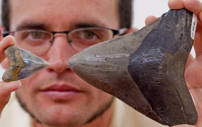 В США раскрыли загадку морского чудовища из мифов майя