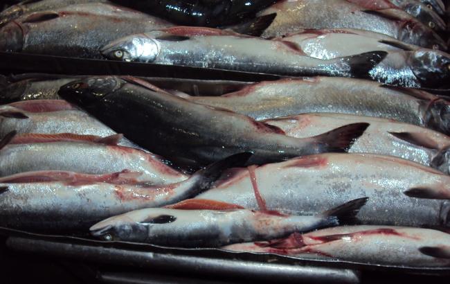 Держрибагентство впровадить сертифікат походження риби з 2016
