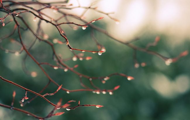 Погода на сегодня: в Украине дожди с грозами, температура до +34