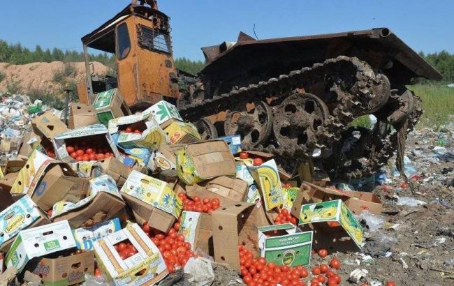 Ростовська митниця створить "спецназ" для боротьби з забороненими продуктами