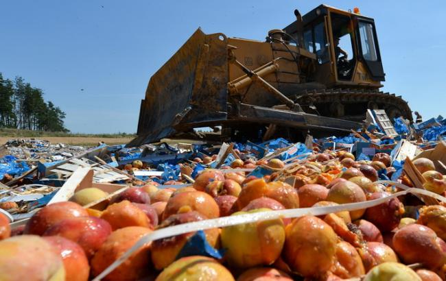 Россельхознадзор обнародовал объемы уничтоженных санкционных продуктов