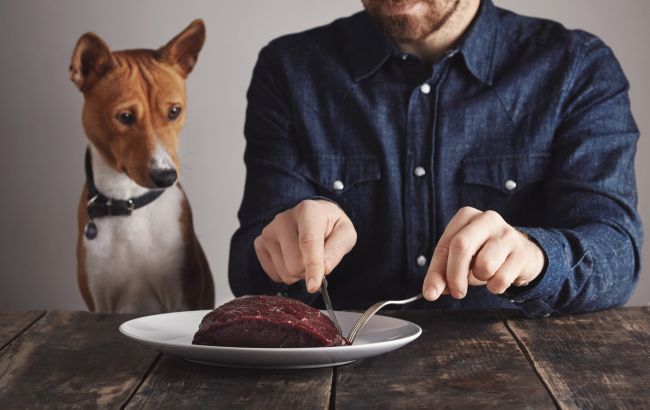 Чи можна годувати собаку сирим м'ясом: ветеринар розкриває всю правду