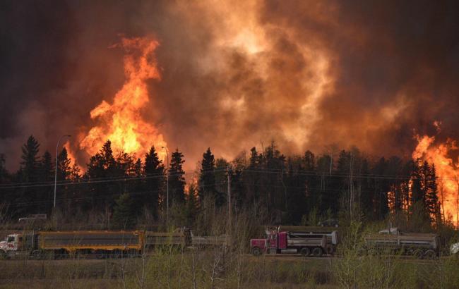 Лесные пожары в Канаде привели к сокращению поставок нефти