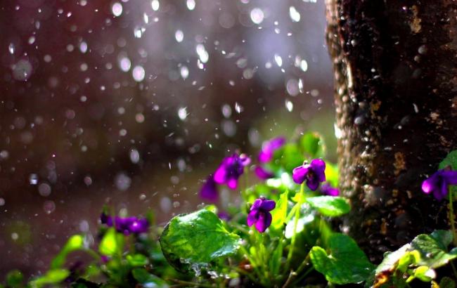 Погода на сьогодні: в Україні дощі з грозами, температура до +25