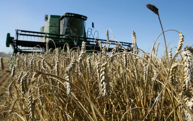 Аграрний фонд направив 1,5 млрд гривень на форвардну програму підтримки сільгоспвиробників