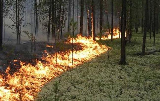 Синоптики предупреждают о высоком уровне пожарной опасности в ряде областей Украины