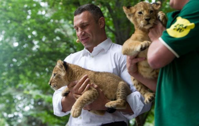 "Не буде галасливих атракціонів і кліток для тварин": Кличко розповів про оновлений зоопарку