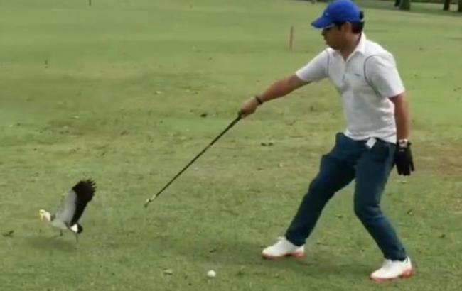 Птахи намагалися зірвати турнір з гольфу, прийнявши м'яч за своє яйце