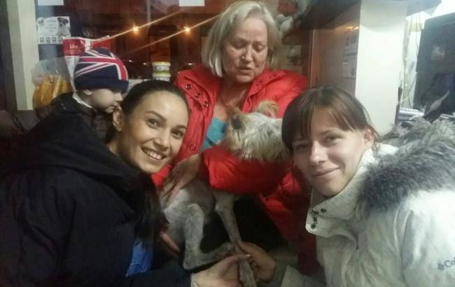 Неравнодушные киевляне спасли старую слепую собаку