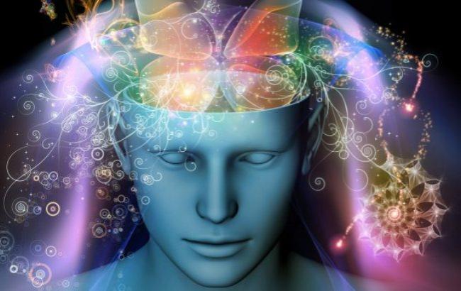 Ученые рассказали о факторах, влияющих на человеческий разум