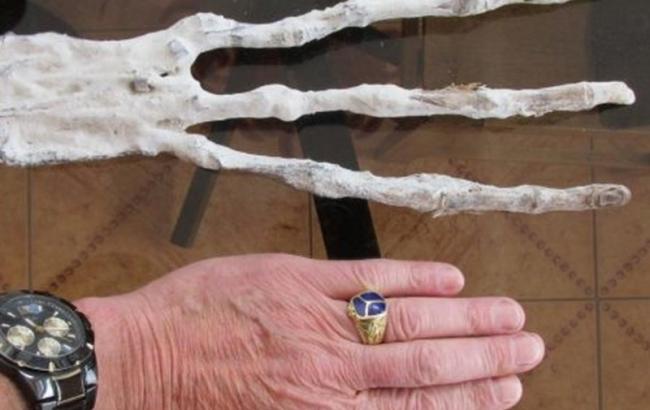 Ученые нашли трехпалую кисть неизвестного существа