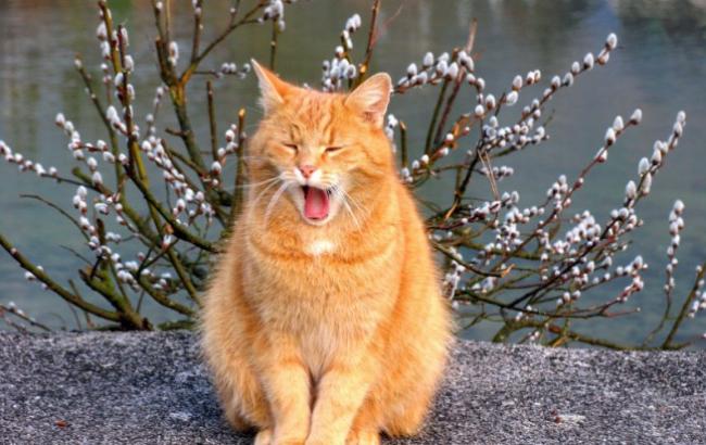 Синоптик розповіла українцям, коли прийде потепління