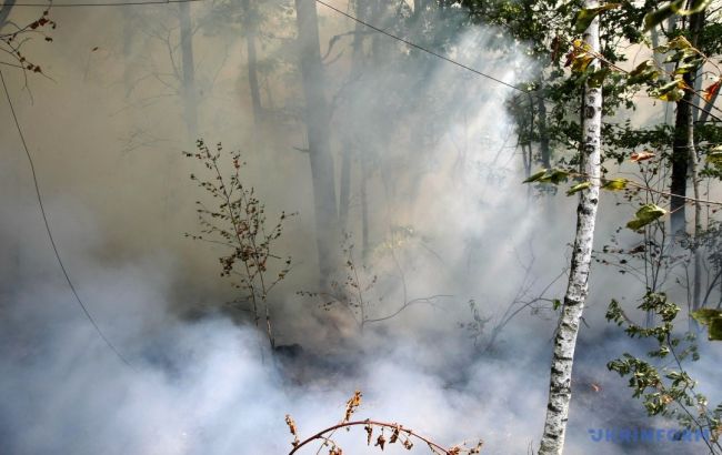 Минулої доби в Україні виникла 121 пожежа на відкритих територіях