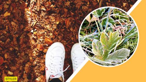 "Резких потеплений не ожидается": синоптики рассказали, какую погоду ждать в ноябре