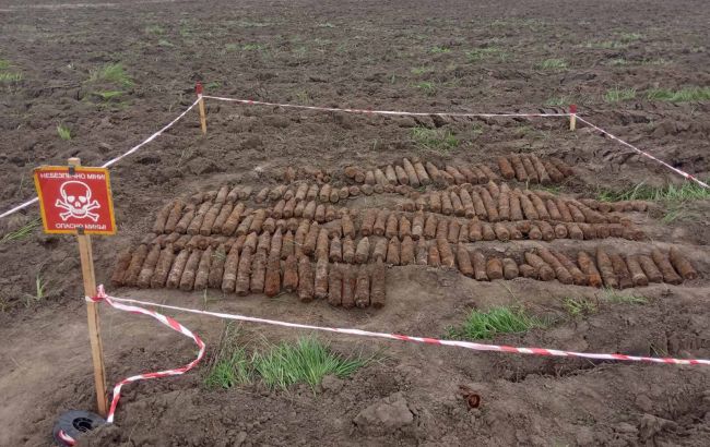 В Черкасской области нашли более 200 снарядов времен Второй мировой войны