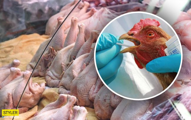 В Україні вирує пташиний грип: як не заразитися небезпечним захворюванням