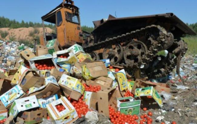 В РФ за год уничтожили более 7,5 тысяч тонн санкционных продуктов