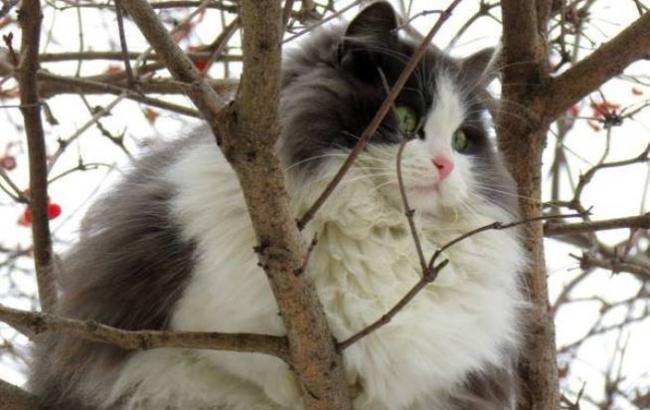 -24 градуса: cиноптики рассказали украинцам о самом холодном дне в декабре