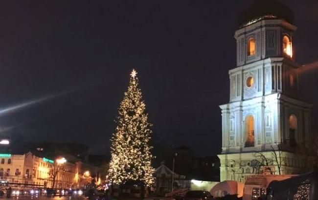 7 дней до открытия: в сети появились свежие фото главной елки страны